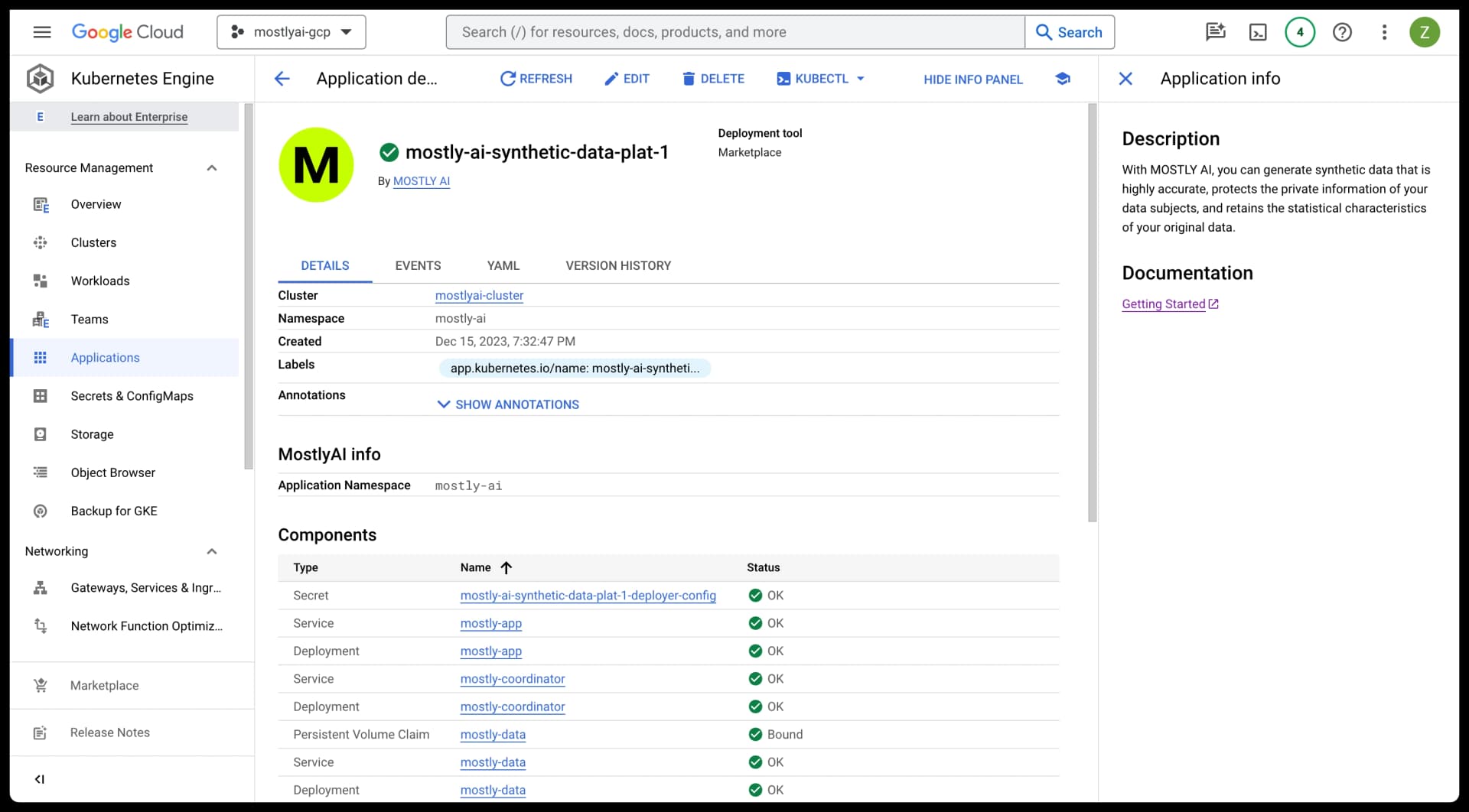 GCP Marketplace - MOSTLY AI deployment complete